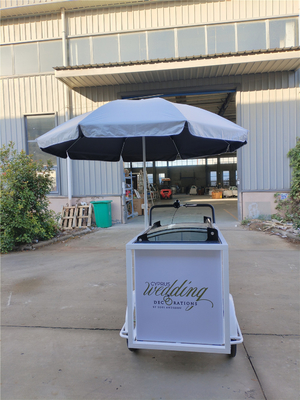 Elektrische italienische Eiscreme Push Cart Dreirad 220V/380V Spannung 220*87*240cmcm Größe