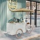 200 kg Kapazität kundenspezifische Farbe Fast-Food-Wagen Fahrrad Elektro-Lebensmittel Eiscreme Truck