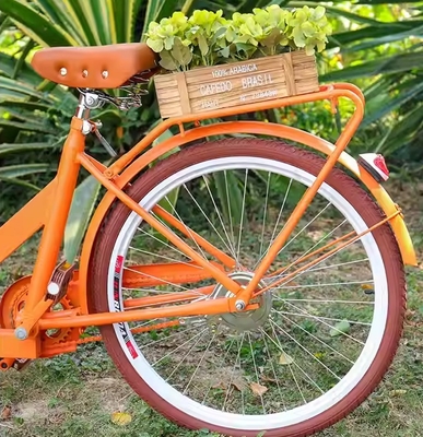 Australien-Scooter-Treirad mit Sojabohnenmaterial und kompakter Größe