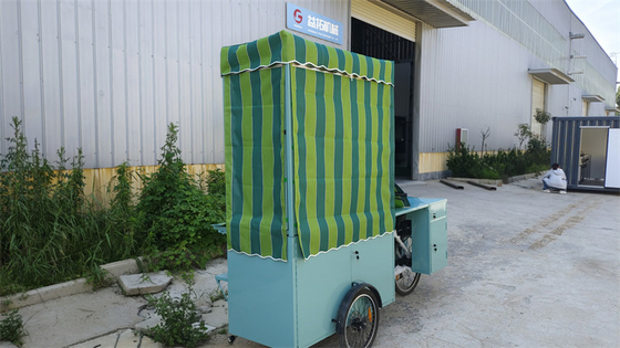 Vollküche Elektro-Lebensmittel-Eis-Lkw Dreirad für die Ladung Ihre perfekte Wahl