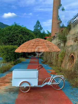 3 Räder Eiscreme Fahrrad Dreirad mobilen Lebensmittelkarren mit jeder Farbvariation Auswahl