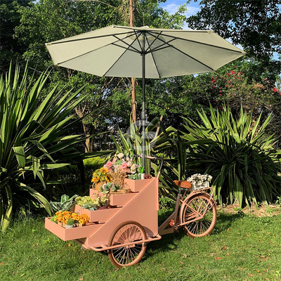 Kompaktes Design Fahrrad Lebensmittelkorb für mobile Outdoor Kaffee Desserts Gelato und Eiscreme