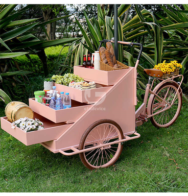 Kompaktes Design Fahrrad Lebensmittelkorb für mobile Outdoor Kaffee Desserts Gelato und Eiscreme