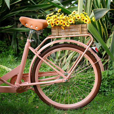 Kompaktes Design Fahrrad Lebensmittelkorb für mobile Outdoor Kaffee Desserts Gelato und Eiscreme