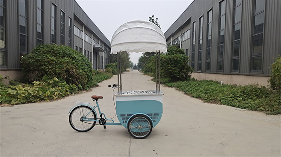 Spannung 48V Fahrrad Outdoor-Essenwagen Dreirad Mall Kiosk Mobil Elektrisches Eiscreme-Wagen