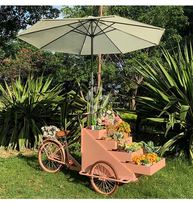 Gemüseverarbeitungsbetrieb Mobilkaffeefahrrad mit L200.00cm*W95.00cm*H110.00cm