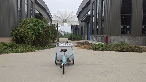 100 kg mobile Lebensmittelfahrzeuge