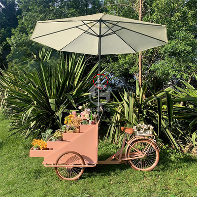 Freizeit Fast Food Ausrüstung Lebensmittel Fahrrad Verkaufswagen mit Anpassung akzeptabel 80kg