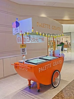 230*94*210cm Straßen Snack Food Cart Dreirad für den einfachen mobilen Lebensmittelverkauf