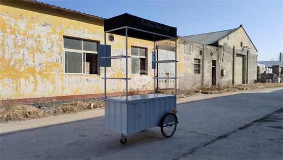 110v/220v Spannung Outdoor-Fastfood-Kiosk Eiscreme-Fahrrad für Snackverkäufe im Freien