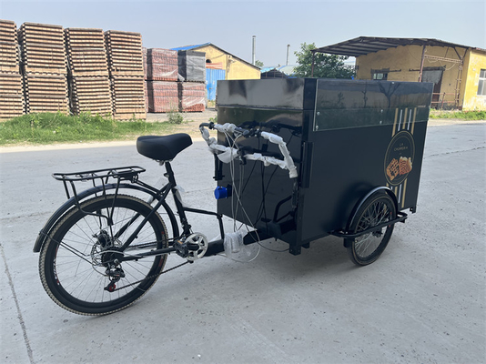 Außenstraßen-Fahrradwagen mit Laderaum und 304 Edelstahlkonstruktion