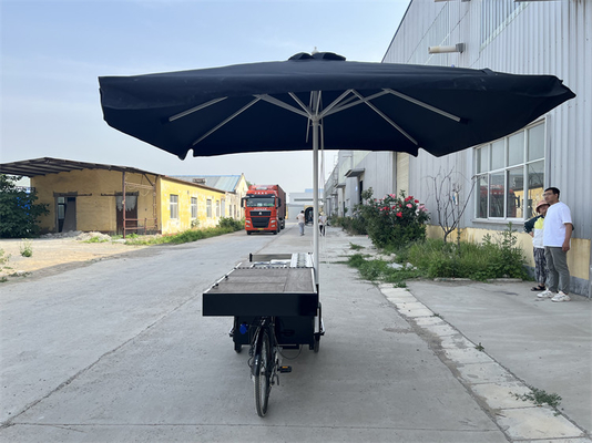 220V/110V Dreiradkarren OEM Kaffee Klappbare Straße Dreirad Waffel Crepe Cargo Bike