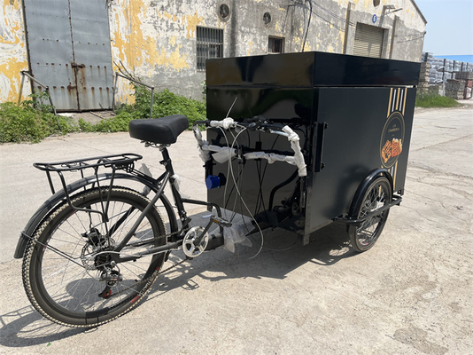 Custom Foldable Mobile Fast-Food Dreirad für den EU-Standard-Cargo Snack-Vending