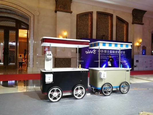 CE-Genehmigung Mobil Hand-Push Hard Eiscreme-Wagen Popsicle-Wagen mit Schaufenster