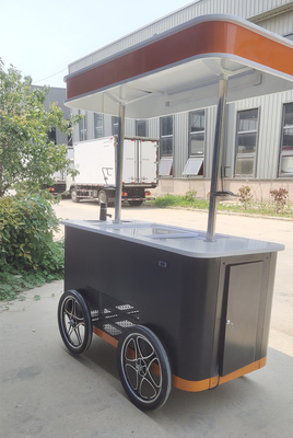 Strand-Eiswagen mit Gefrierschrank/Eiswagen/italienisches Eiswagen