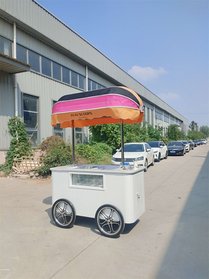 Hochwertiges Lebensmittel-LKW Eis-Display-Schrank Gelato-Puppen Eiscreme Push-Wagen