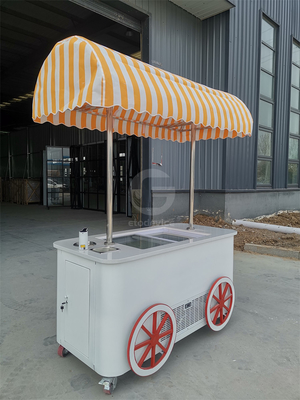 Maßgeschneiderte Straßenkutschen mit Kühlschrank Lebensmittel Push Cart Neues Geschäft Markt Park Eiscreme-Wagen