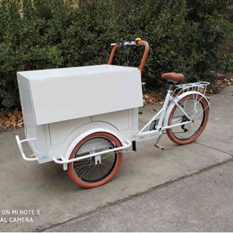 Wasser-Rohstoff Ein-Stopp-Kaffeelieferung Dreirad 220V/110V Spannung Mobile Food Bike