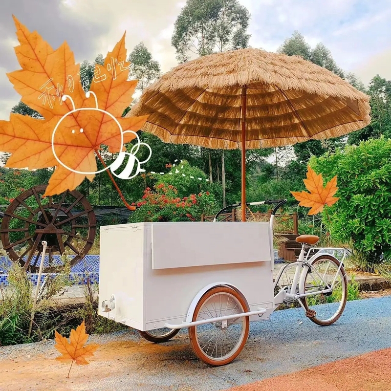Mobiles Essen Fahrradkarren Fahrrad Nüsse Snack-Essen mit und Mobile Hot Dog Cart