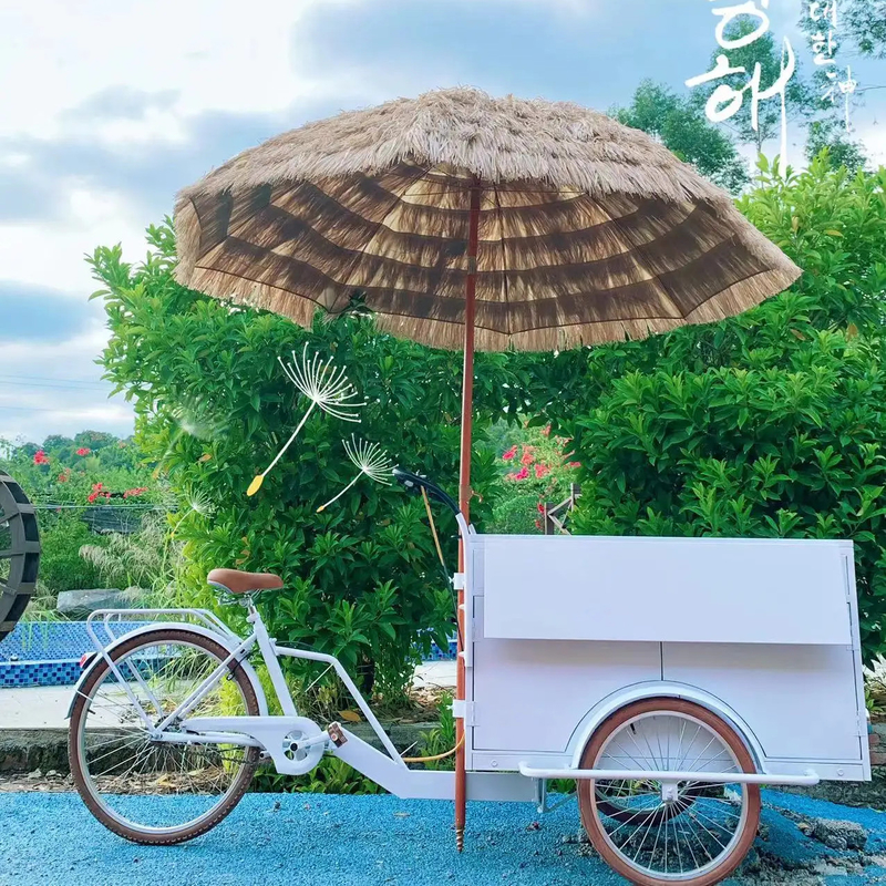100 kg Retro Kaffeefahrrad für die Straße Mobile Kaffee Trike Shop Fahrrad Fastfood-Wagen Fahrrad